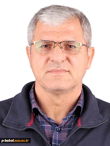 ولی محمدپور